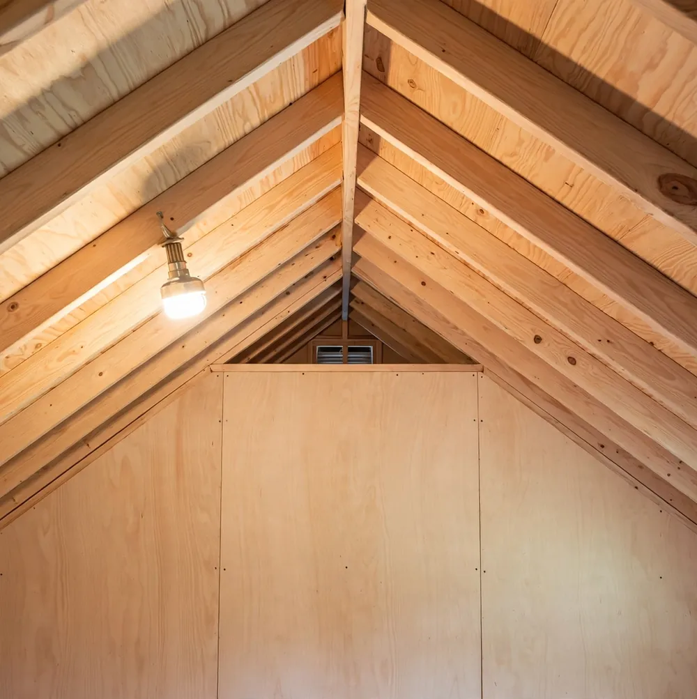 Attic sheathing cleaned and sealed after professional remediation