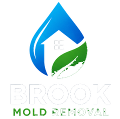 Brook Mold Removal